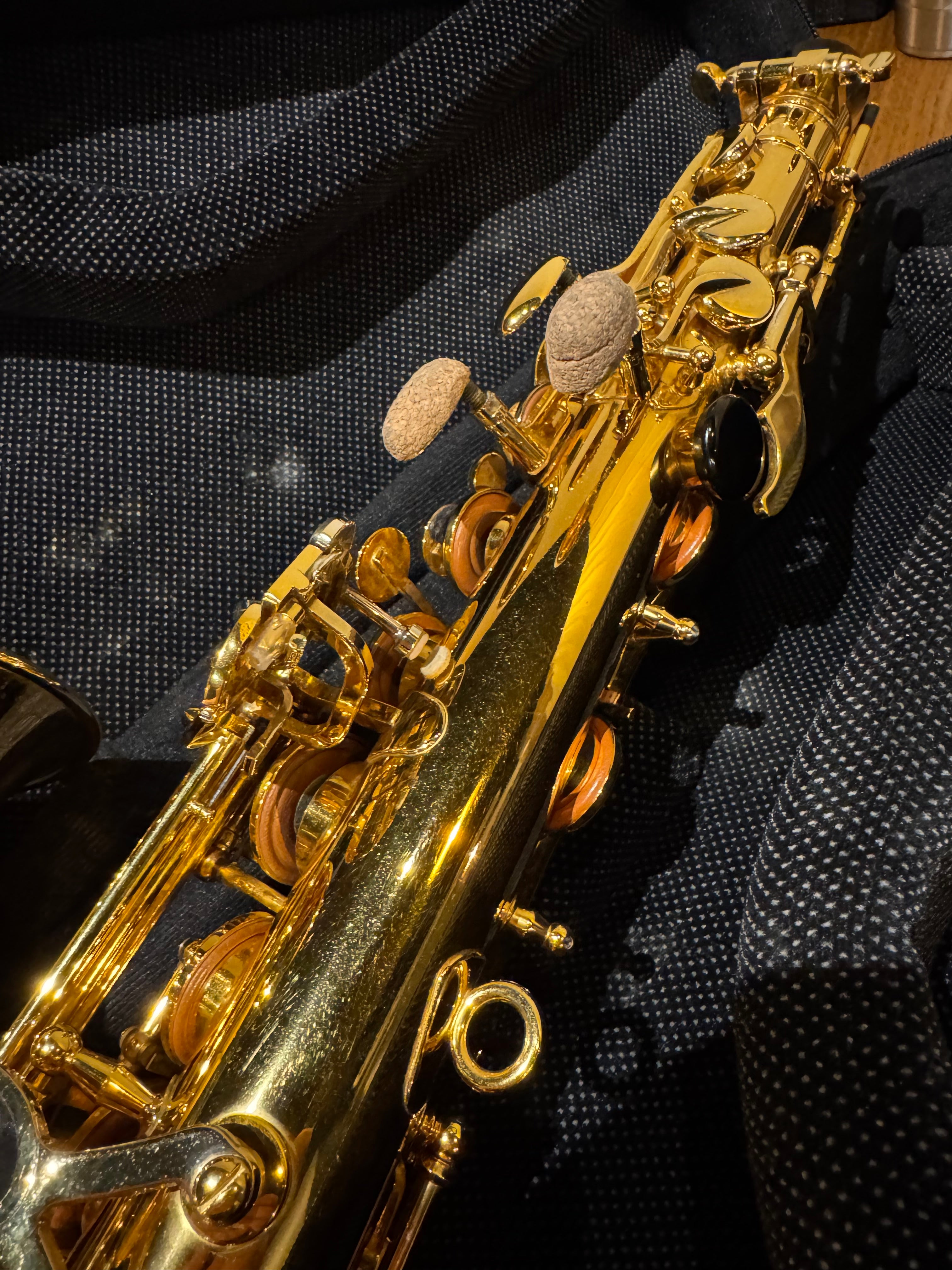 IMG_5952.jpg?v=1750513864&