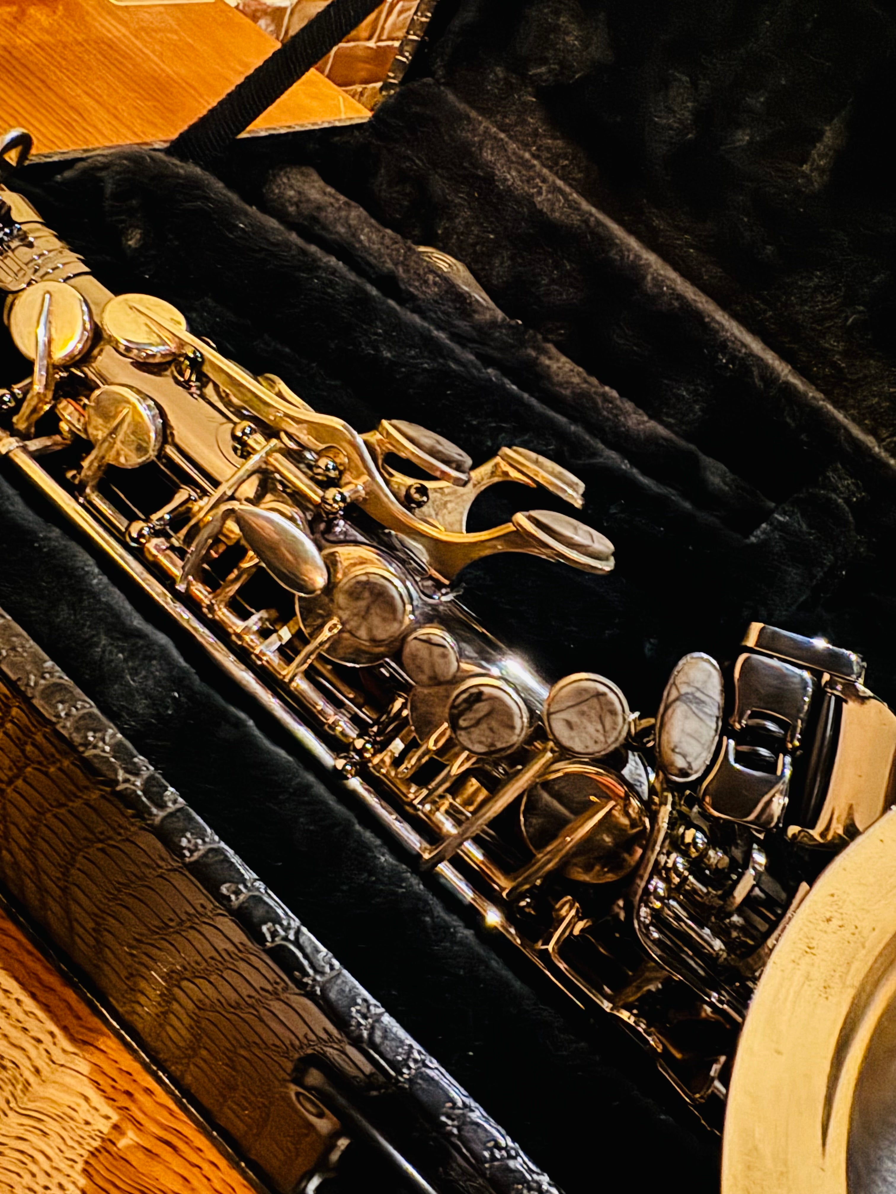 管楽器・吹奏楽器 Cannonball A5-P PEGASUS Saxophone Review] Cannonball A5-P Pegasus Big Bell Stone